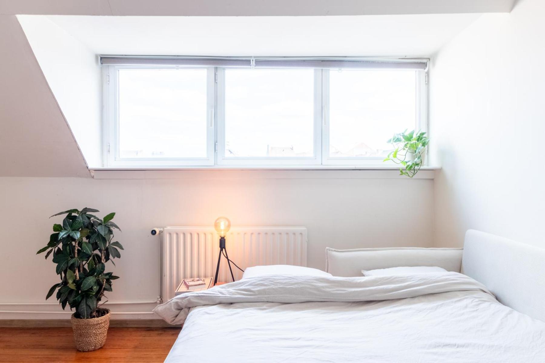 Guesthouse Private Studio Nearby Old Town ヘント エクステリア 写真